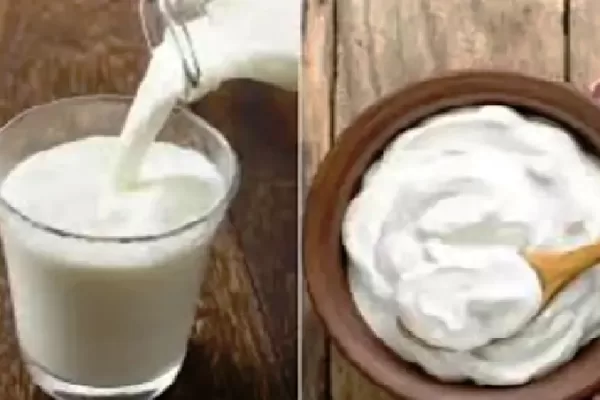 मिलावटखोरों पर 7 लाख 75 हजार रुपए का जुर्माना