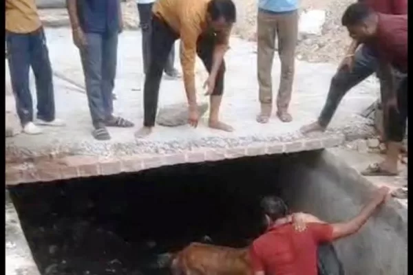 बीकानेर में खुले नाले बने मौत का कुआँ-गोवंश की जान बचाई, स्थानीय लोगों में भारी रोष